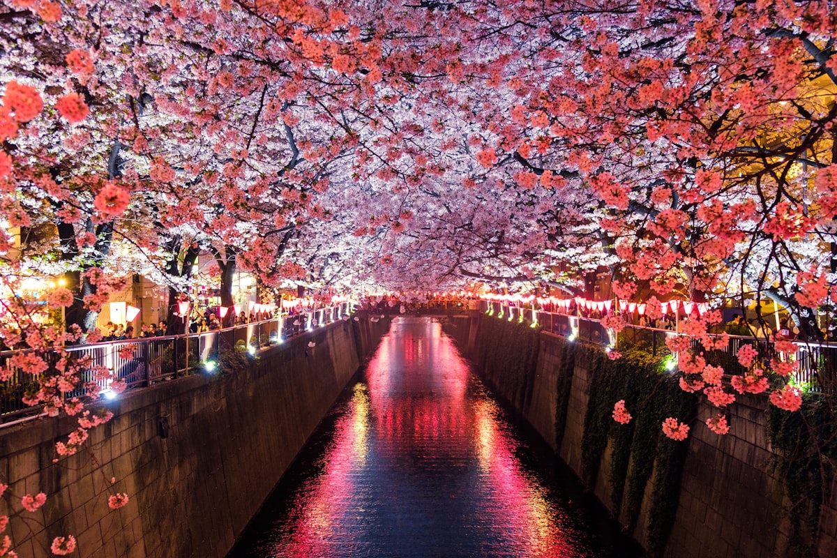 Japan Travel Checklist: 15 Things to Know Before You Land