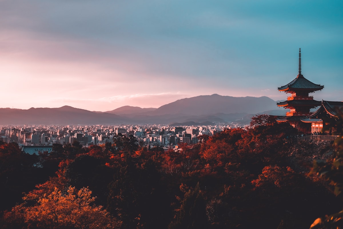 Japan's Best Festivals & Seasonal Events: A Month-by-Month Guide