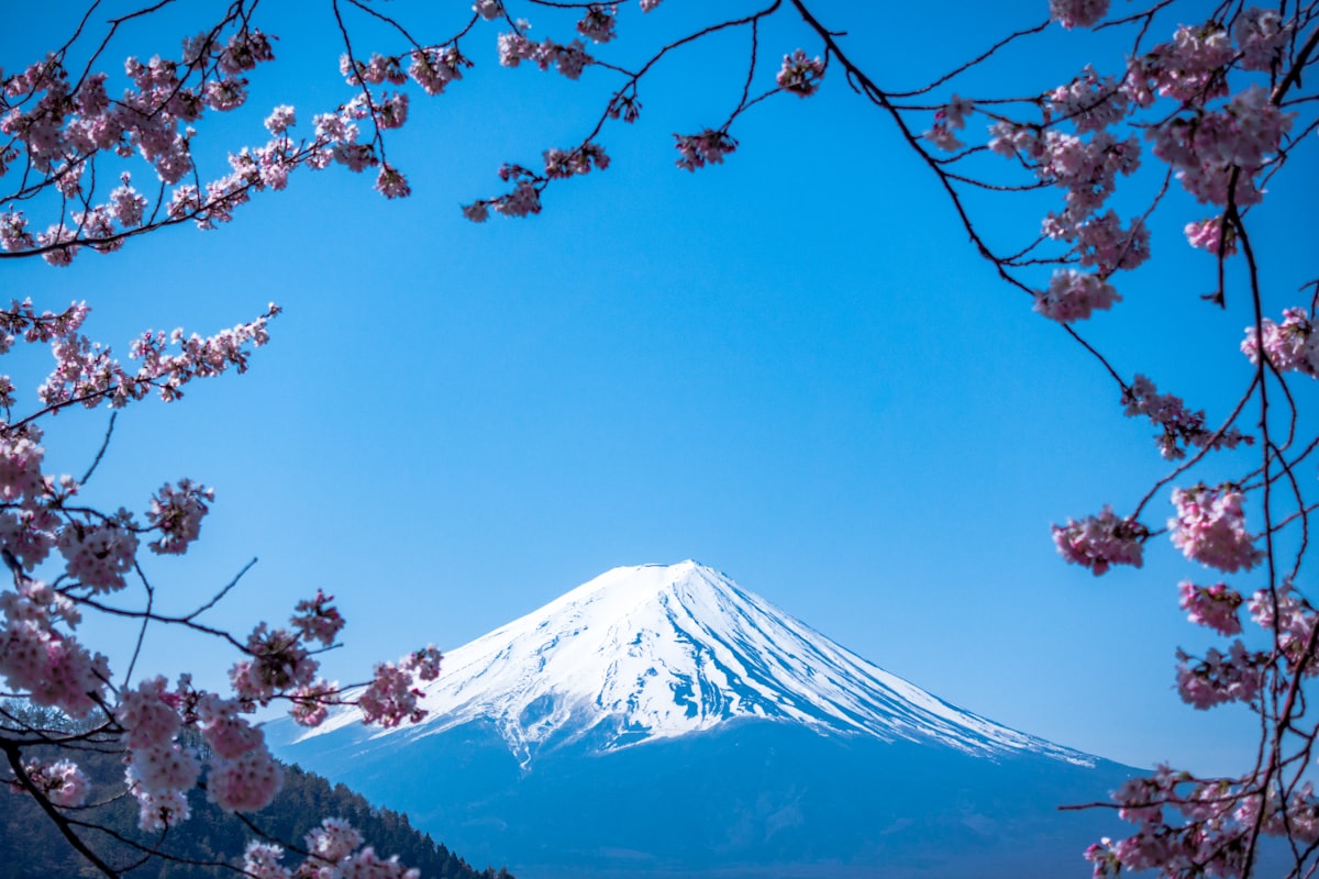 Skip Tokyo for a Day: Why Ibaraki Is Japan's Best-Kept Secret